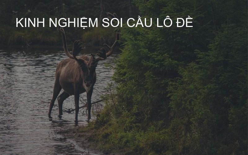 kinh nghiệm soi cầu lô đề