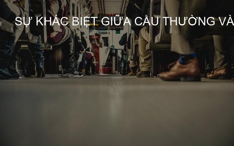 sự khác biệt giữa cầu thường và cầu VIP