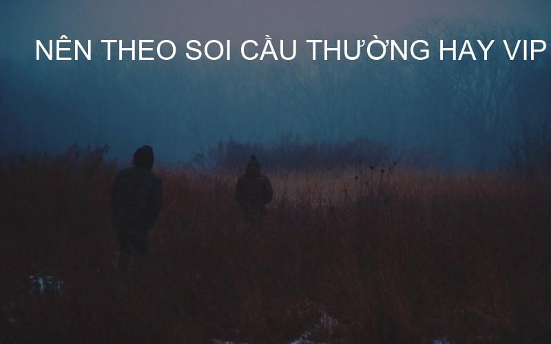 nên theo soi cầu thường hay VIP