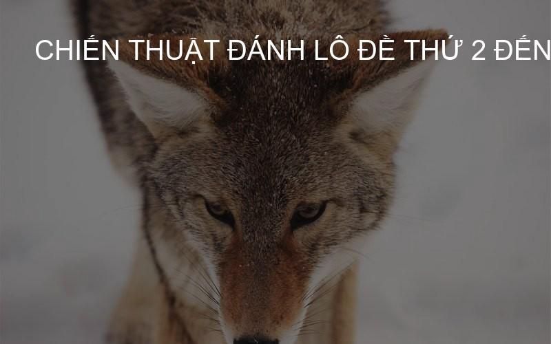 chiến thuật đánh lô đề thứ 2 đến chủ nhật
