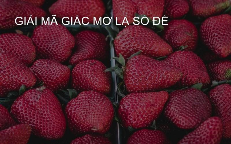 giải mã giấc mơ lạ số đề
