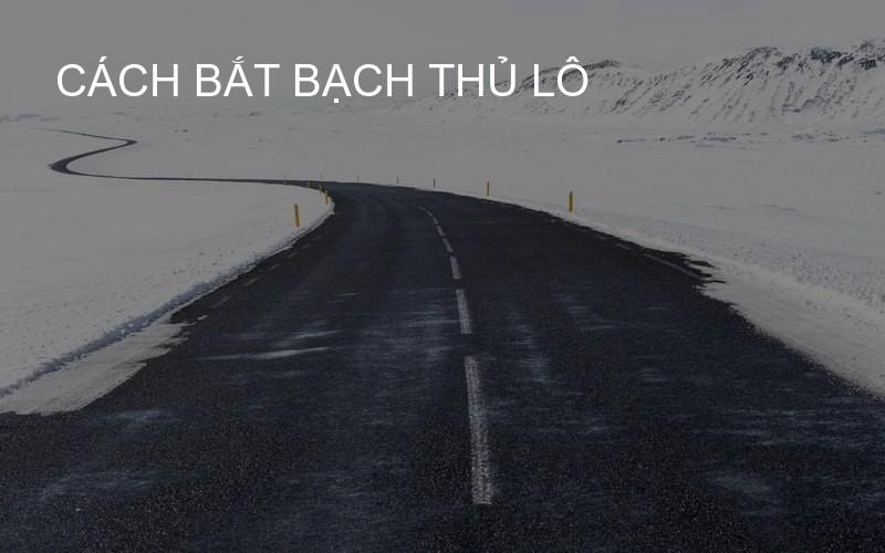 Cách bắt bạch thủ lô