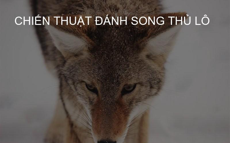 Chiến thuật đánh song thủ lô