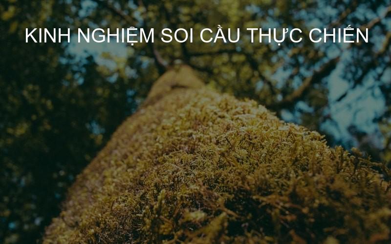Kinh nghiệm soi cầu thực chiến