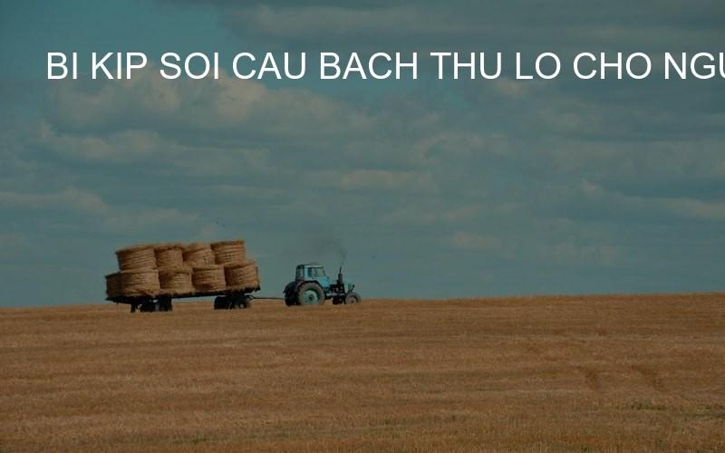 bi kip soi cau bach thu lo cho nguoi moi