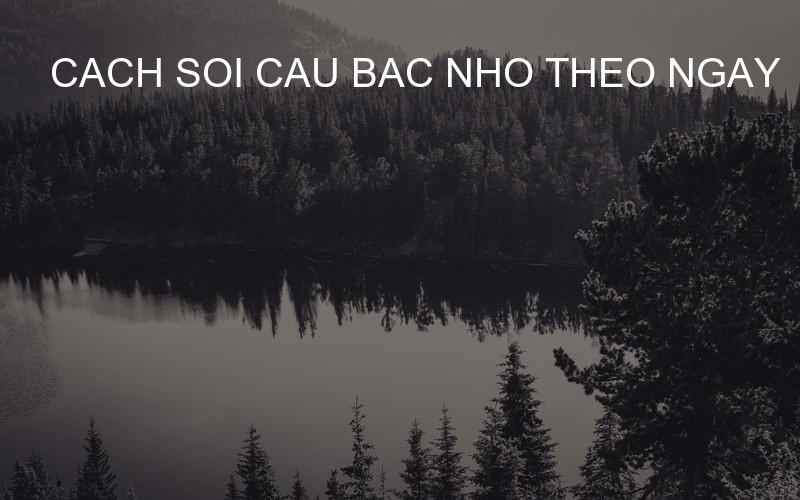 cach soi cau bac nho theo ngay