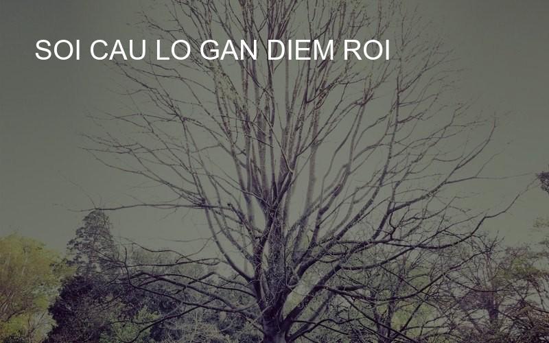 soi cau lo gan diem roi