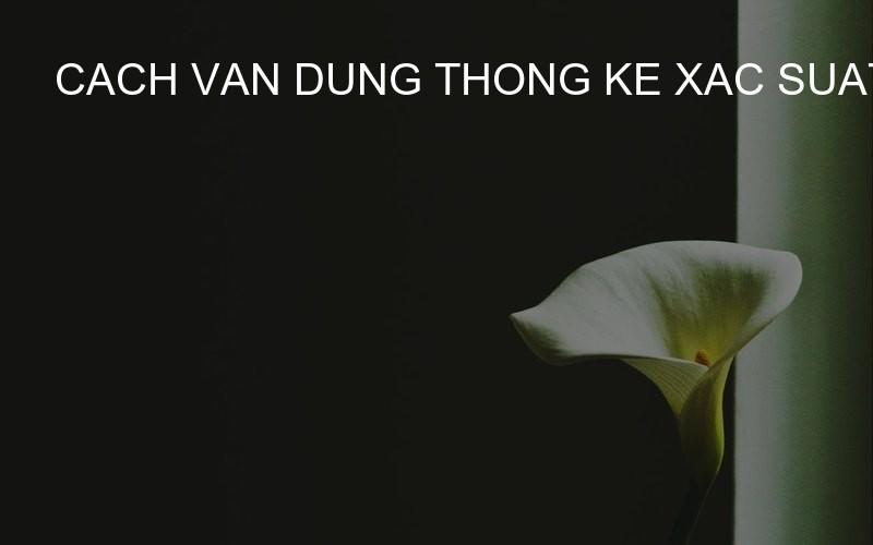cach van dung thong ke xac suat trong soi cau lo hang ngay