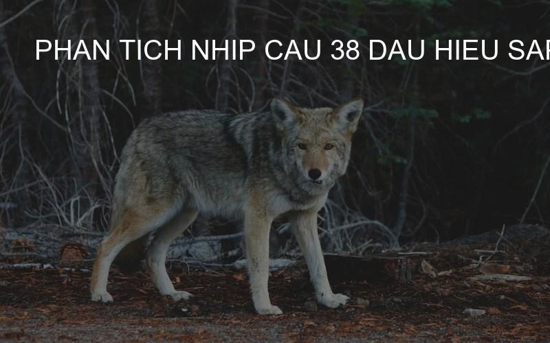 phan tich nhip cau 38 dau hieu sap no