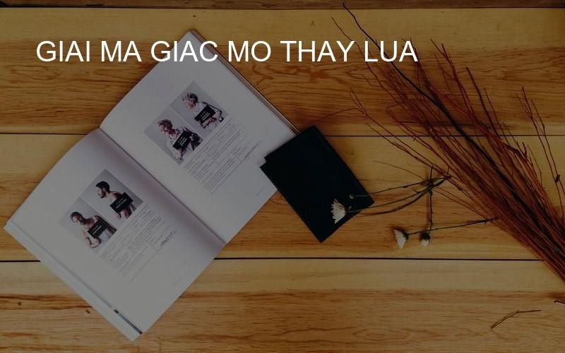 giai ma giac mo thay lua