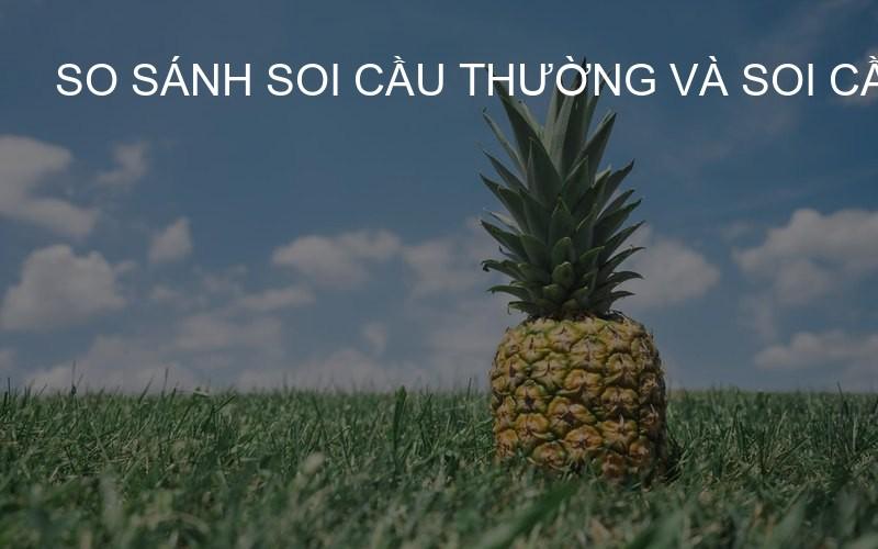 So sánh soi cầu thường và Soi Cầu VIP