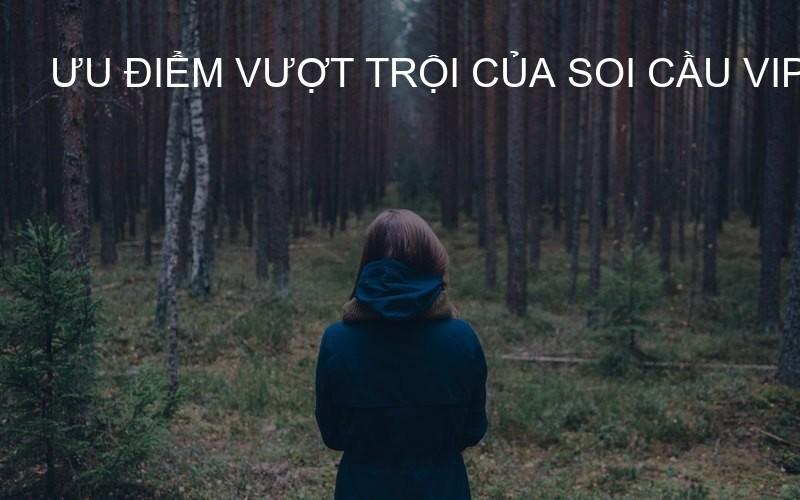Ưu điểm vượt trội của Soi Cầu VIP