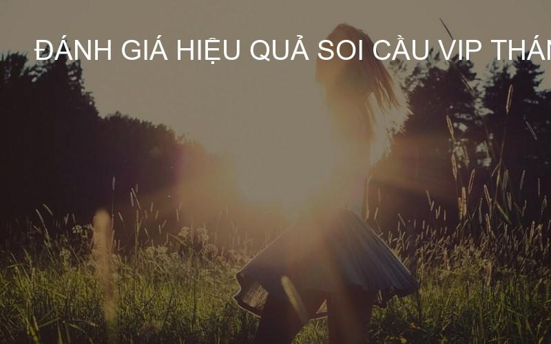Đánh giá hiệu quả Soi Cầu VIP tháng 5