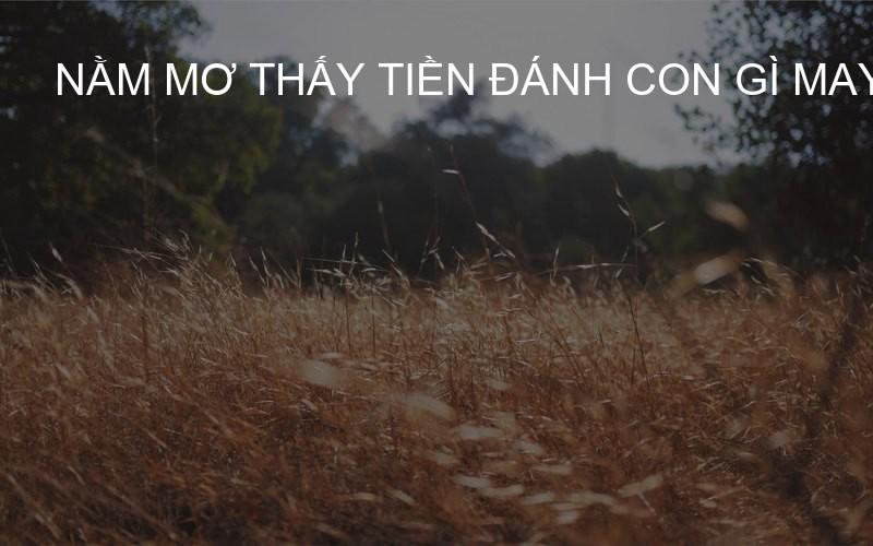 Nằm mơ thấy tiền đánh con gì may mắn