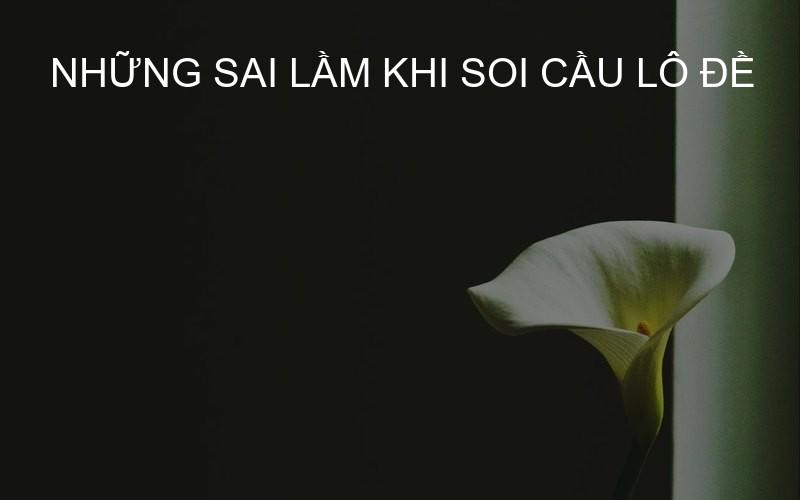 Những sai lầm khi soi cầu lô đề