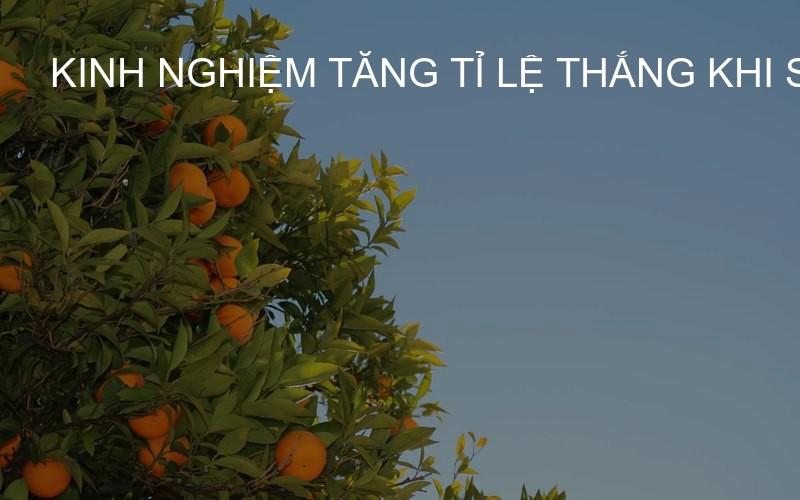 Kinh nghiệm tăng tỉ lệ thắng khi soi cầu