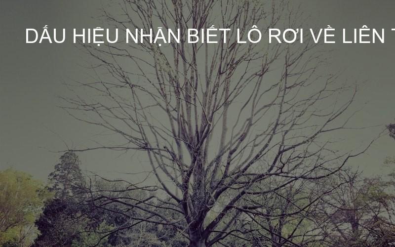 Dấu hiệu nhận biết lô rơi về liên tiếp
