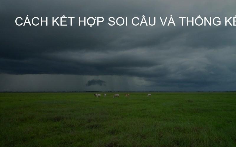 Cách kết hợp soi cầu và thống kê lô gan