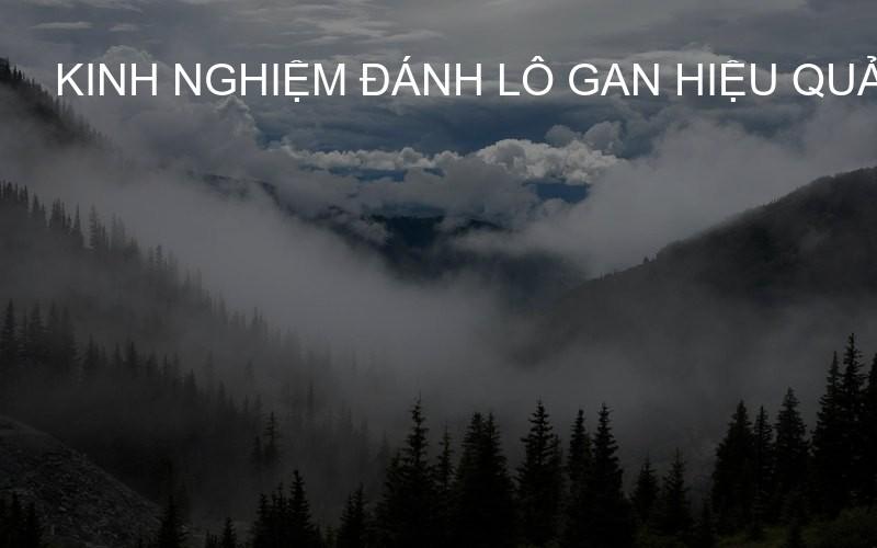 Kinh nghiệm đánh lô gan hiệu quả 2026