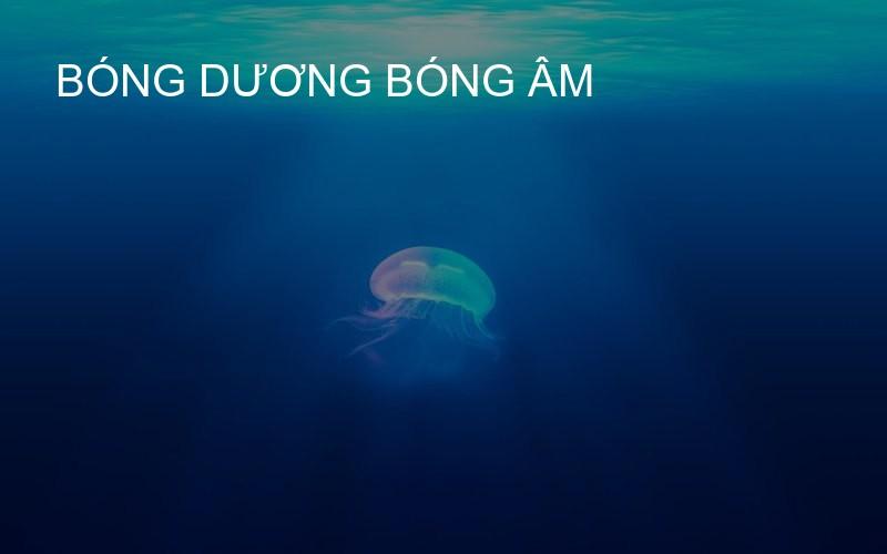 bóng dương bóng âm