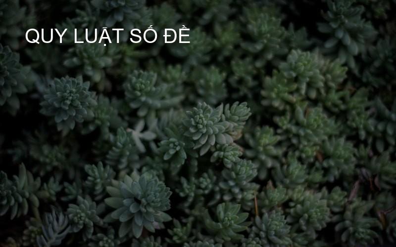 quy luật số đề