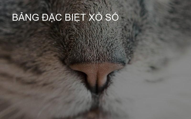 bảng đặc biệt xổ số