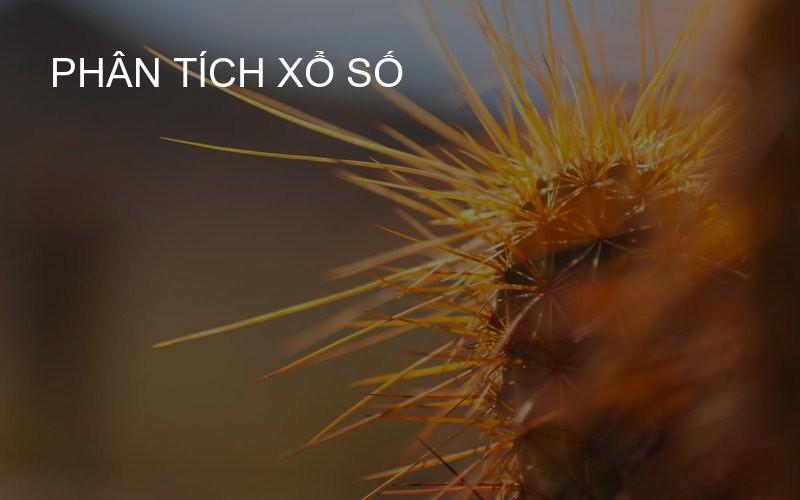phân tích xổ số