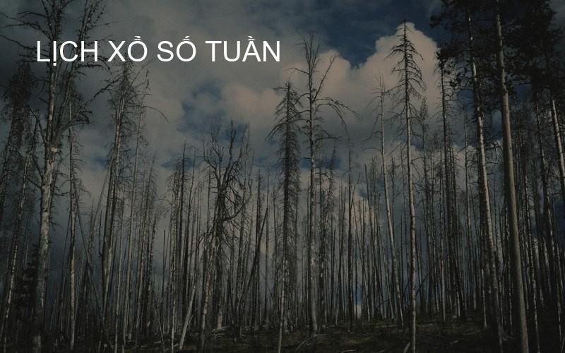 lịch xổ số tuần