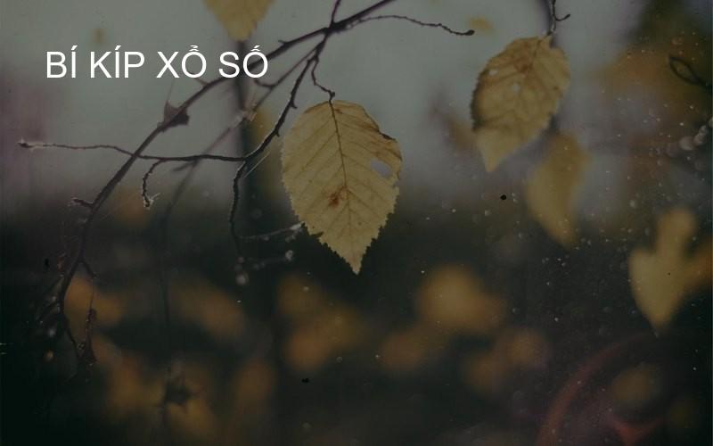 bí kíp xổ số