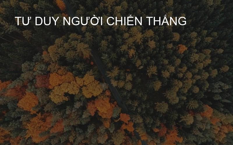 tư duy người chiến thắng