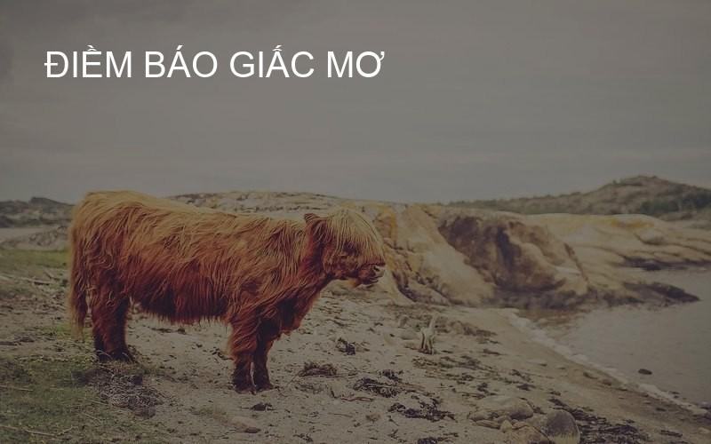 điềm báo giấc mơ