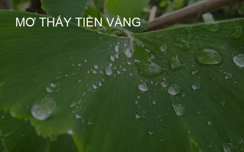 mơ thấy tiền vàng