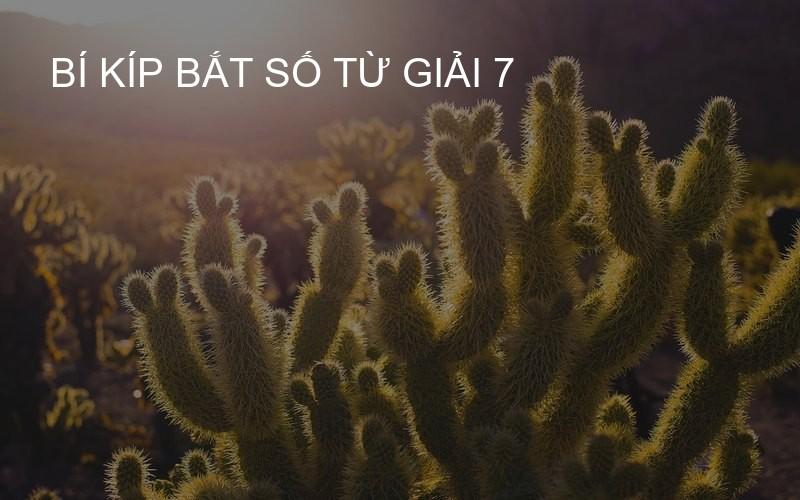 bí kíp bắt số từ giải 7