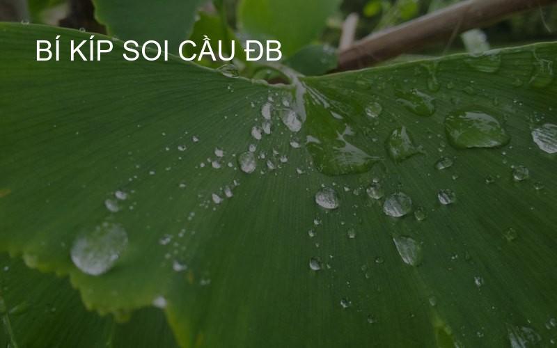 bí kíp soi cầu ĐB