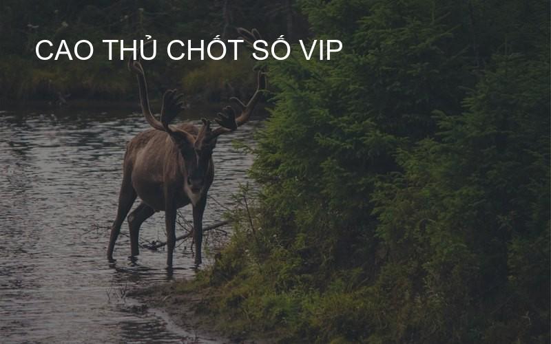 cao thủ chốt số VIP