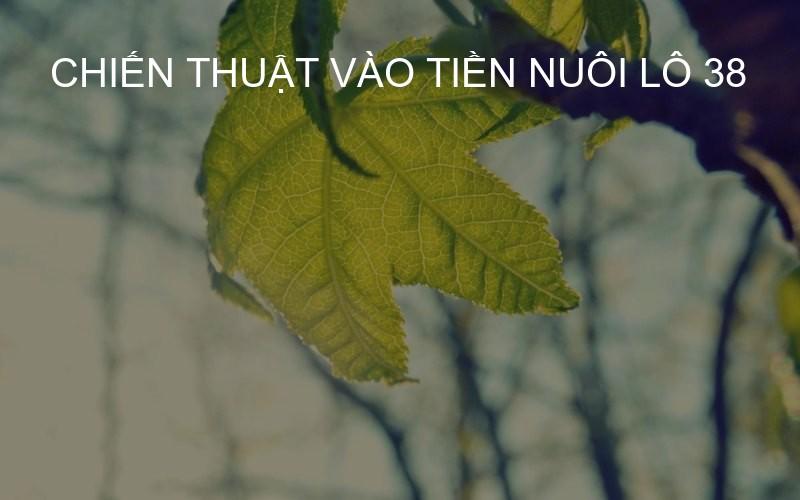 chiến thuật vào tiền nuôi lô 38