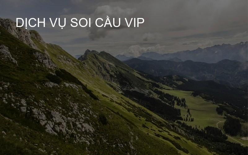 dịch vụ soi cầu VIP