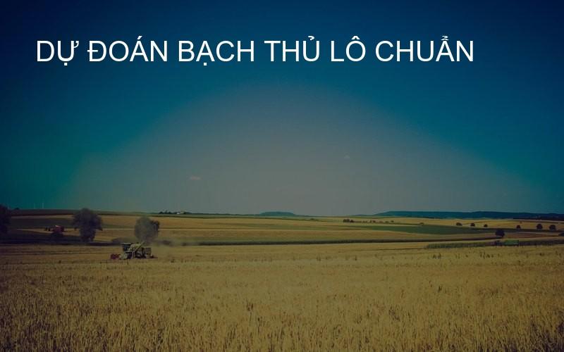 dự đoán bạch thủ lô chuẩn
