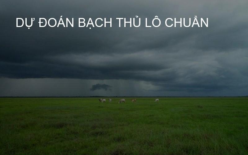 dự đoán bạch thủ lô chuẩn