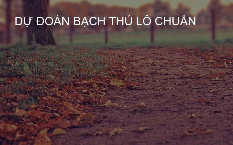 dự đoán bạch thủ lô chuẩn