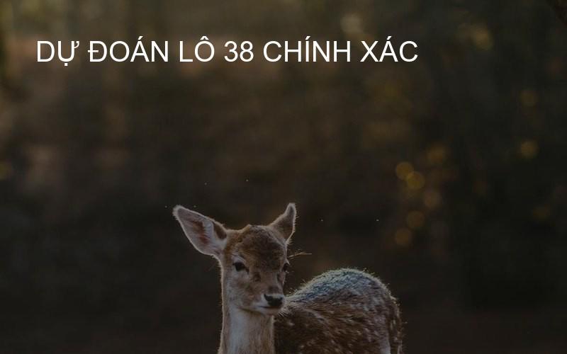dự đoán lô 38 chính xác