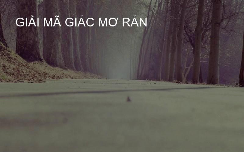 giải mã giấc mơ rắn