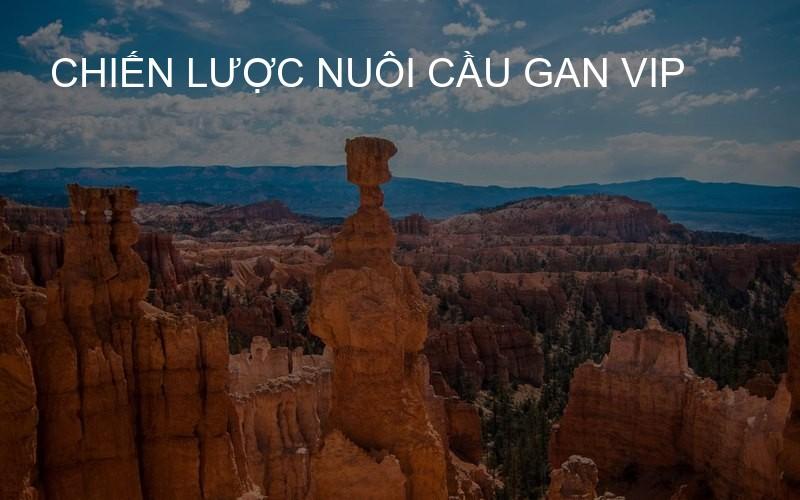 chiến lược nuôi cầu gan VIP