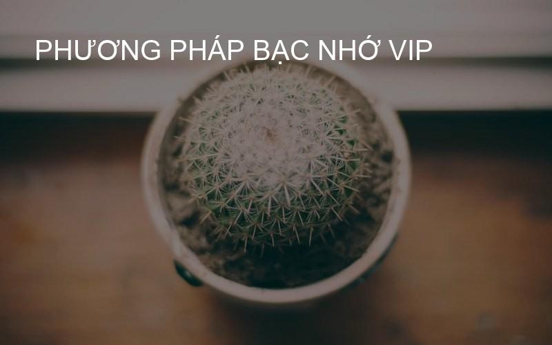 phương pháp bạc nhớ VIP