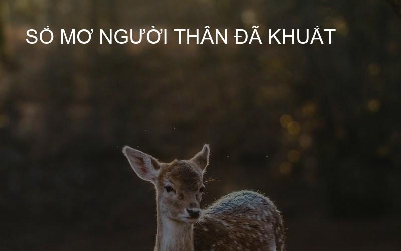 sổ mơ người thân đã khuất