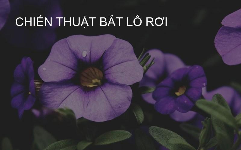chiến thuật bắt lô rơi