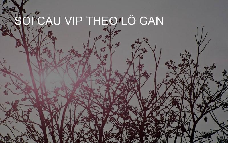 Soi cầu VIP theo lô gan