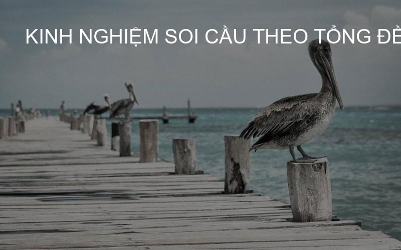 Kinh nghiệm soi cầu theo tổng đề