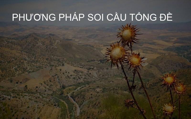Phương pháp soi cầu tổng đề