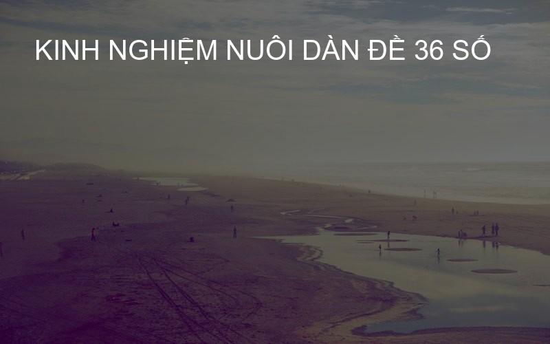 Kinh nghiệm nuôi dàn đề 36 số